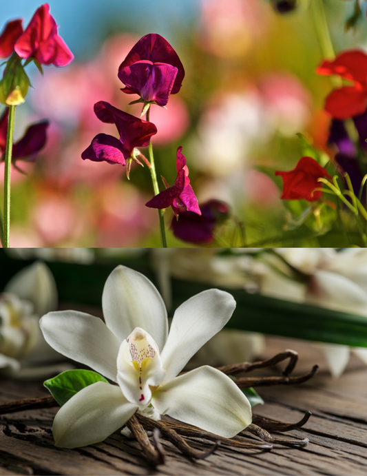 DIY Kit: Sweet Pea & Vanilla