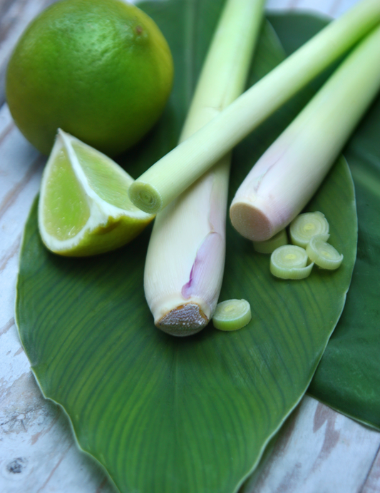DIY Kit: Lemongrass & Persian Lime