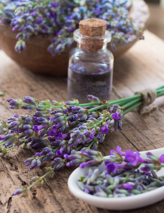 DIY Kit: French Lavender