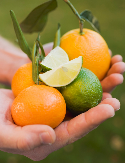 DIY Kit: Lime Basil & Mandarin