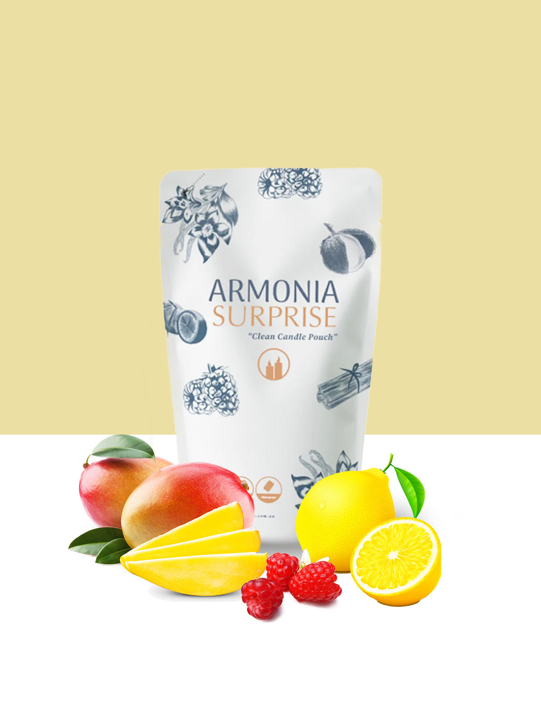 DIY KIT: Mango sorbet