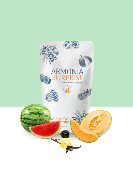 DIY Kit: Watermelon lemonade