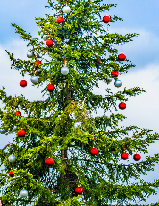 DIY Kit: Christmas Tree