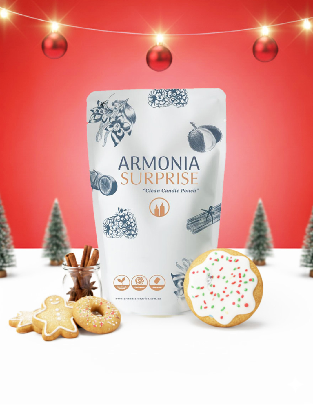 DIY Kit:  Christmas Cookie