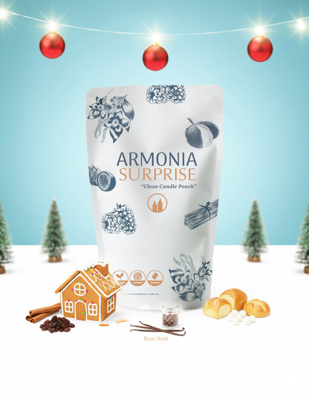 DIY Kit: Gingerbread House