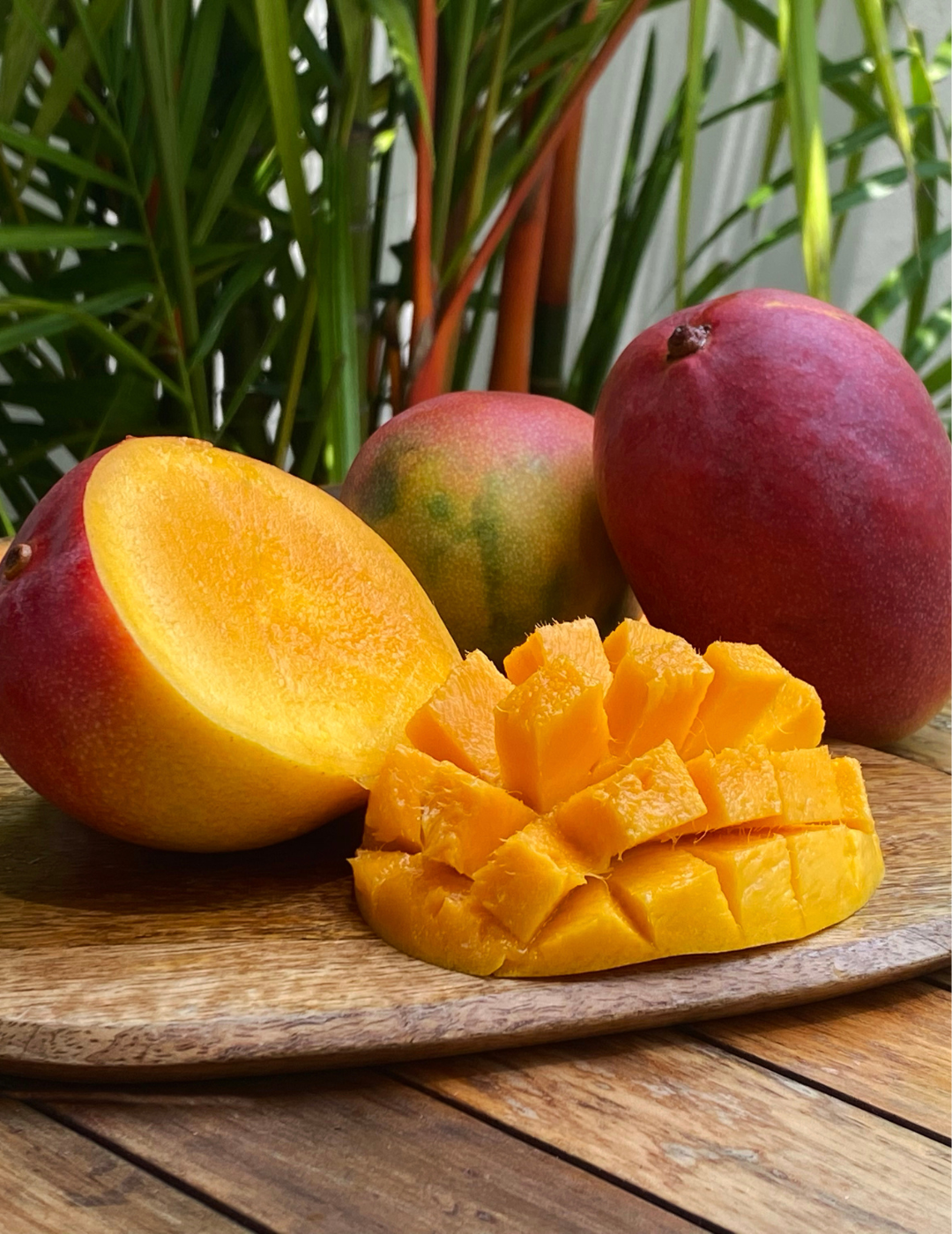 DIY KIT: Mango sorbet